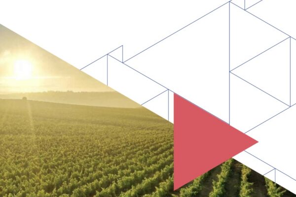 Étude de chaînes de valeur et banque de projets entrepreneuriaux
