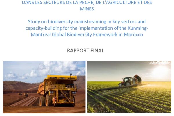 Étude sur l’intégration de la biodiversité dans les secteurs clés