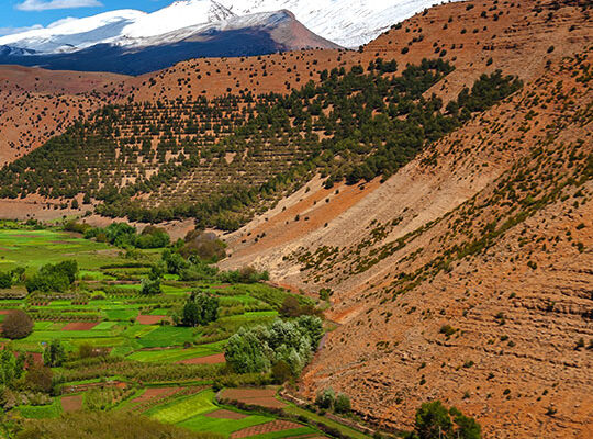 Rapport annuel PAGE Maroc 2022