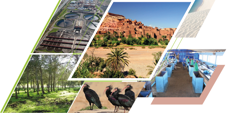 Rapport annuel PAGE Maroc 2024