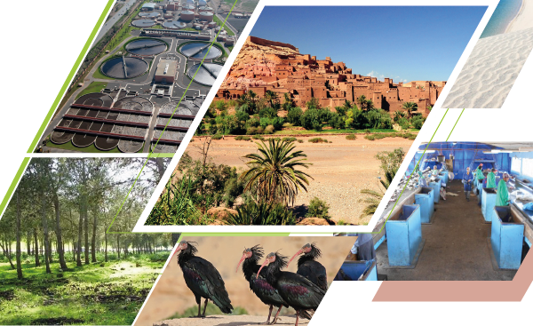 Rapport annuel PAGE Maroc 2024